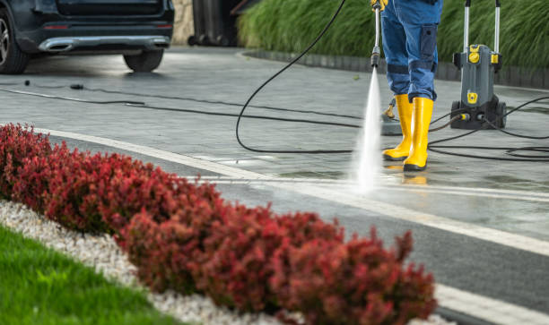 Best Dumpster Area Cleaning  in Aquebogue, NY